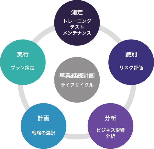 事業継続計画ライフサイクル 測定トレーニングテストメンテナンス 識別リスク評価 分析ビジネス影響分析 計画戦略の選択 実行プラン策定