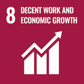 8 DECENT WORK AND ECONOMIC GROWTH